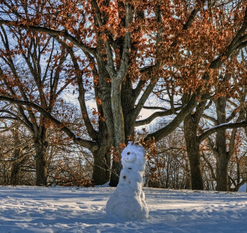 Minnesota snowman