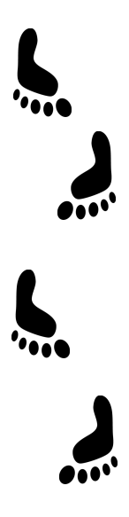 footprints4
