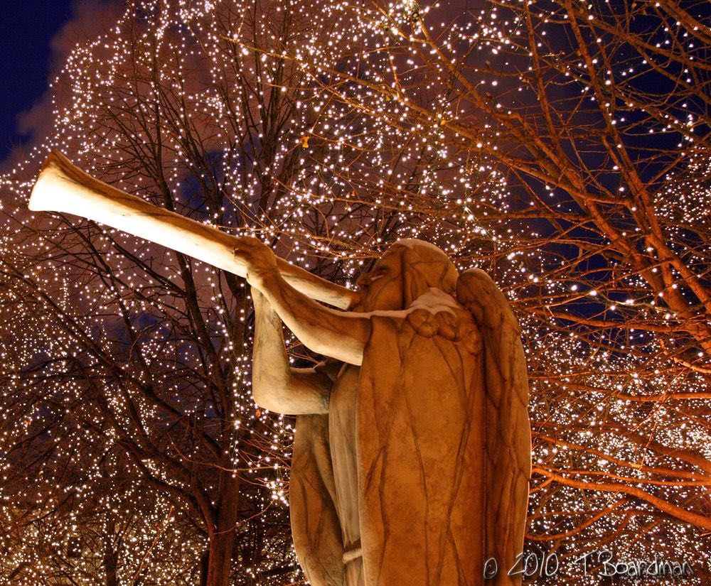 Angel -Rice Park