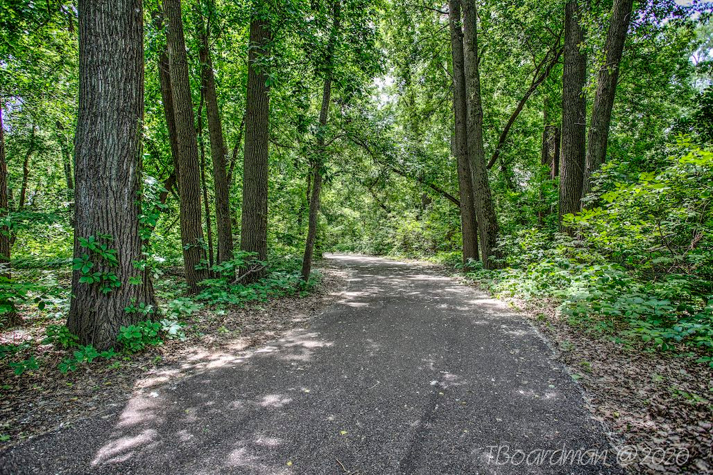 bike trail through the woods