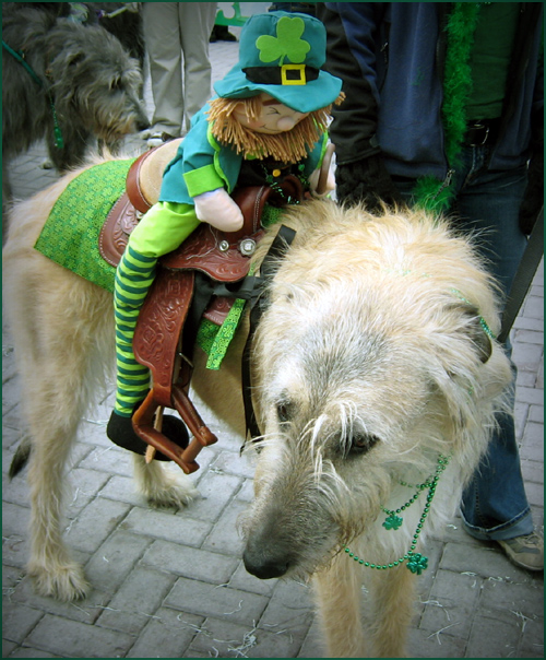 Leprechaun Riding an Irish Wolfhound